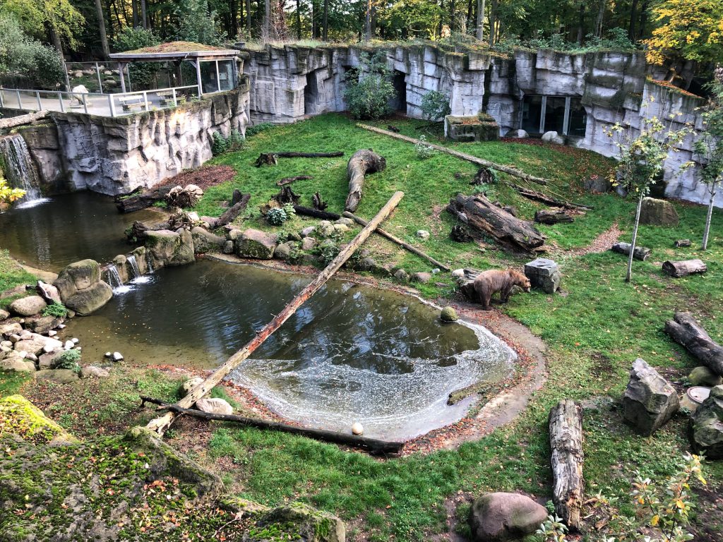 Zoo Osnabrück glutenfrei geniessen